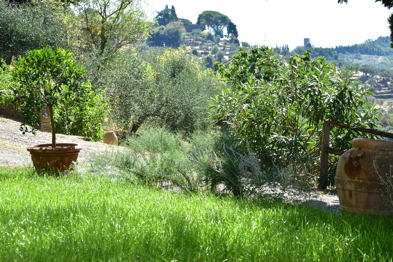 Palazzina Del Chiasso Bed and Breakfast San Martino in Freddana Exterior foto