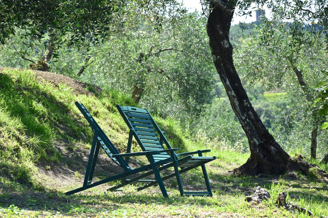 Palazzina Del Chiasso Bed and Breakfast San Martino in Freddana Exterior foto