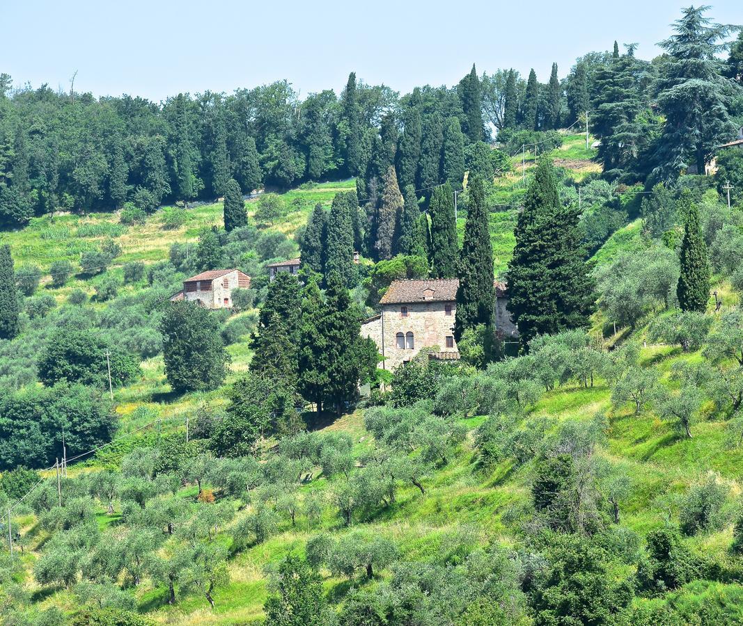 Palazzina Del Chiasso Bed and Breakfast San Martino in Freddana Exterior foto