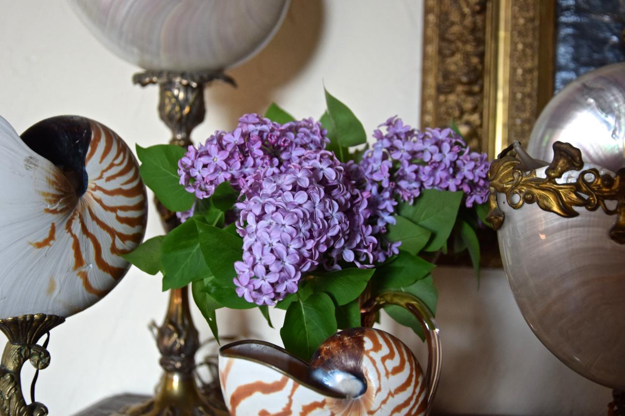 Palazzina Del Chiasso Bed and Breakfast San Martino in Freddana Exterior foto