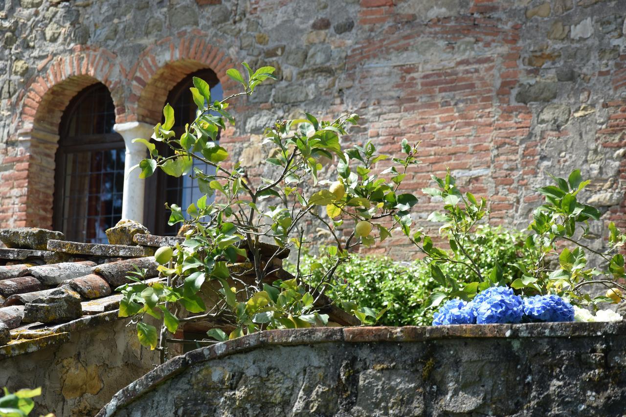 Palazzina Del Chiasso Bed and Breakfast San Martino in Freddana Exterior foto