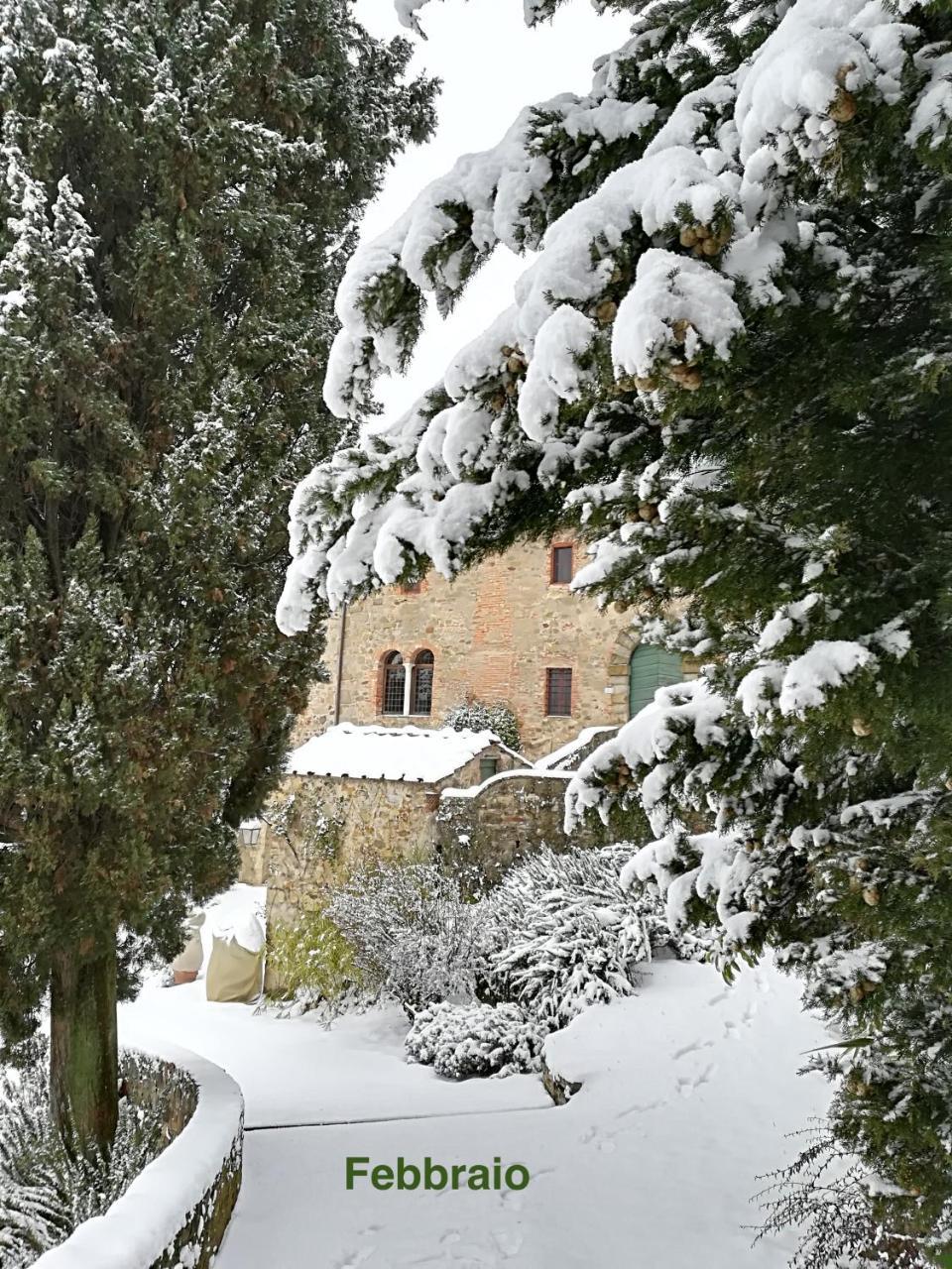 Palazzina Del Chiasso Bed and Breakfast San Martino in Freddana Exterior foto